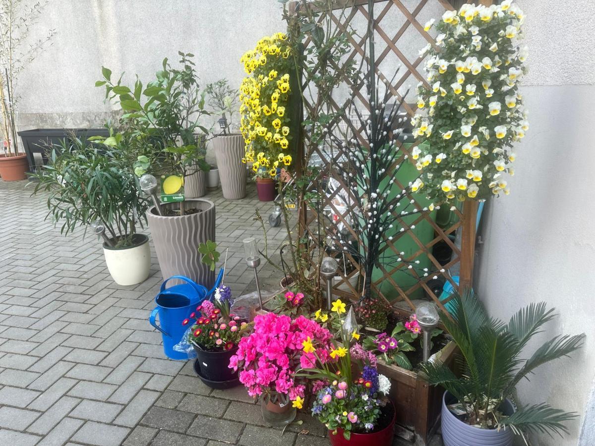 Kaethe-Kollwitz-Strasse 54, F2 Appartement Altenburg Buitenkant foto
